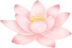 图片 14