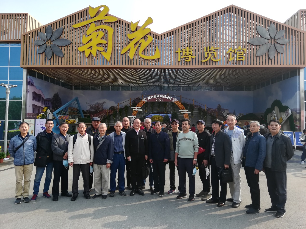 图片 4