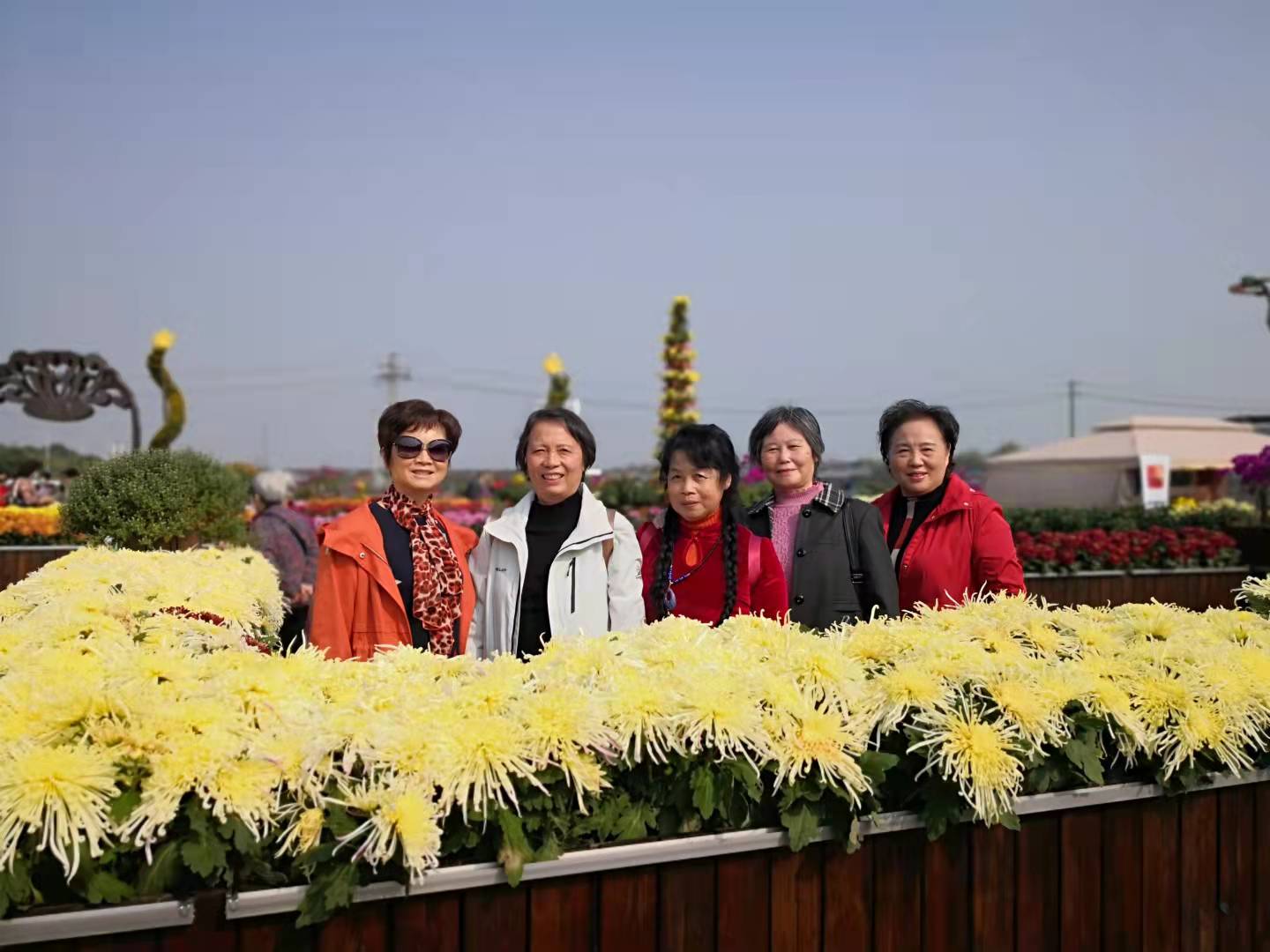 图片 5