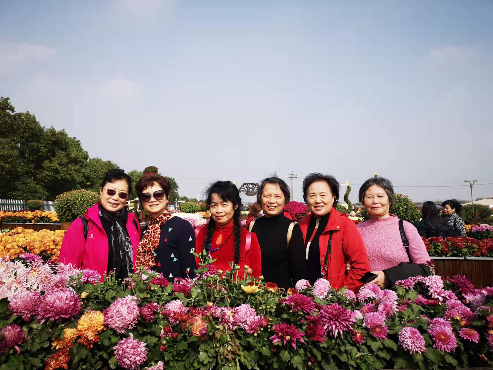 图片 6